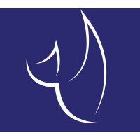 Black Rhino Academy Foundation logo - Similar company to Mwenge Catholic University