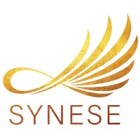 Synese logo - Similar company to Midna Inc.