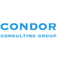 Condor Consulting Group logo - Similar company to Condor Consulting Services