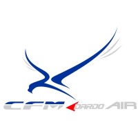 CFM DARDO AIR logo - Similar company to Tr Compositi