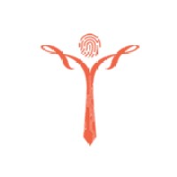 ITProfessionist logo - Similar company to Coder Seeker