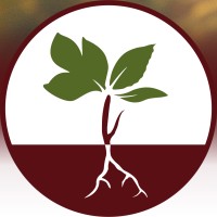 Blend & Terroir logo - Similar company to Fabiola Melo International And Commercial Law