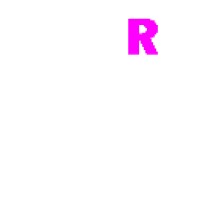 Pravi raj