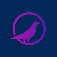 Ravensnest Solutions LLC logo - Similar company to Brandaris Inc.