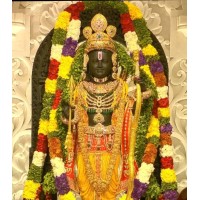 DLFC PVT LTD logo - Similar company to Sws Financial Solutions Private Limited