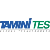 TES TRANSFORMER ELECTRO SERVICE S.r.l. logo - Similar company to Proyecto Trafo