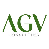 AGV Consulting logo - Similar company to Grupo Svm