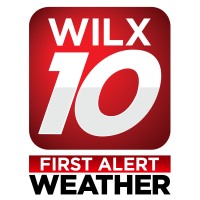 WILX-TV logo - Similar company to Wlns-Tv