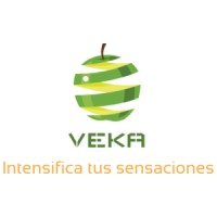 Comercializadora VEKA logo - Similar company to Rafmex