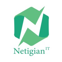 Netigian IT logo - Similar company to At Computer Solution Limited