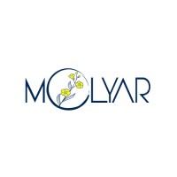 Molyar logo - Similar company to Urbanways