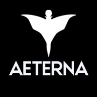 Aeterna Marketing logo - Similar company to Info Tech Guide