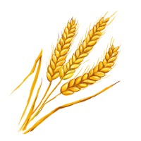חקלאות מדייקת - ממחקר לפרקטיקה logo - Similar company to Proteimax