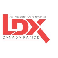 Les Experts LDx logo - Similar company to Solutechinfo