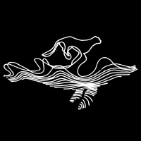 Whale & Jaguar logo - Similar company to High-Flyers Software Consulting Firm