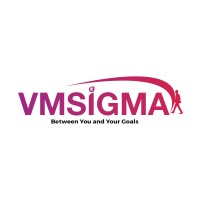 VMSIGMA FINSERV logo - Similar company to Light & Shade