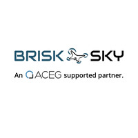 BriskSky l Drone Fleet Provider logo - Similar company to Five X Five Aviation