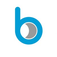 B-Line Ltd logo - Similar company to Sdmc Consulting