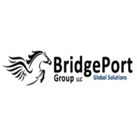 BridgePort Digital, division of BridgePort Group LLC logo - Similar company to Prow & Beacon