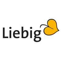 Liebig Graphics logo - Similar company to Simius New Media Gmbh