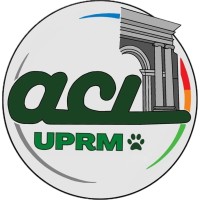 American Concrete Institute - UPRM logo - Similar company to Bruce Consulting Group