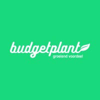 Budgetplant logo - Similar company to Fiyo