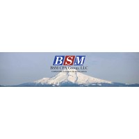 BSM CPA Group, LLC