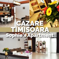 Apartament regim hotelier timisoara