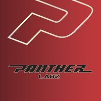 Panther Labz logo - Similar company to Israelclouds