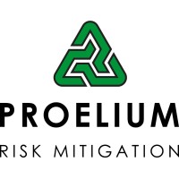 Proelium Consulting logo - Similar company to Tactical Ability Group