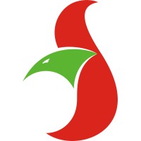 Flach Service-Bund logo - Similar company to Resonator Technologies
