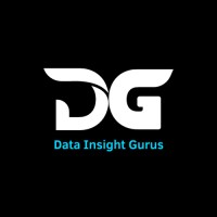 Data Insight Gurus logo - Similar company to Innovation Through Data Science