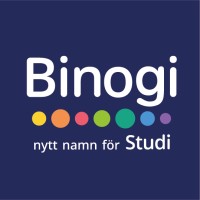 Binogi Sverige logo - Similar company to Skolon Sverige