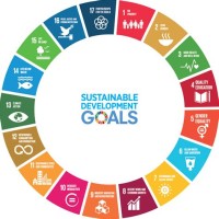 Czech-UNDP Partnership for Sustainable Development Goals logo - Similar company to Kazakh-Georgian Economic Union