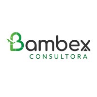 Bambex Consultora logo - Similar company to Nizza