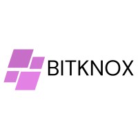 BITKNOX LTD logo - Similar company to Bootbox