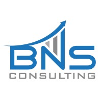 BNS Consulting logo - Similar company to Communitize