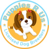 Puppies R Us logo - Similar company to Doggo
