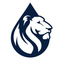 Blue Lion logo - Similar company to Rare X Labs