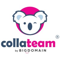 CollaTeam logo - Similar company to Bigdomain.My