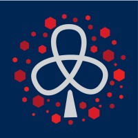 Embaixada Geração de Valor Águias Netweaving EGV-ANW logo - Similar company to Emc2 Turnaround E Restruturação Operacional