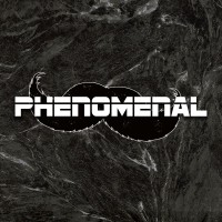 Phenomenal Sportswear logo - Similar company to Positivebcn® Sportswear