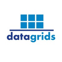 Datagrids logo - Similar company to Omni Techs