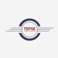 Tepse Refrigeration & Air Conditioning Systems logo - Similar company to Beijer Ref China 百尔制冷