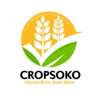 CropSoko Technologies Limited logo - Similar company to Hydroinformatics Academy
