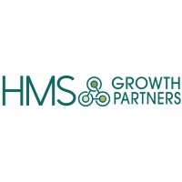 HMS Growth Partners logo - Similar company to Alto Design