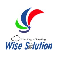 Wisesolution logo - Similar company to Hostbillo Hosting Solution