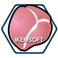 IKEM Technologies logo - Similar company to Datacentric Solutions Limited