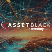 Asset Black logo - Similar company to Cloudnet Group