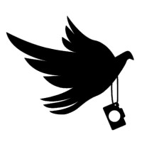 FlynnVisuals logo - Similar company to Kaiser-Amm Gmbh